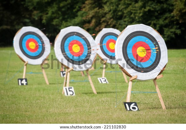 archery targets at various distances on a range -\
focus only on the closest\
target