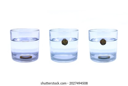 Archimedes' principle experiment. Examples of glass with a cork floating in water and a submerged coin - Shutterstock ID 2027494508