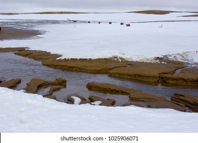 Archipelago Franz Josef Land, The Polar Desert, Spring, The Snow Melts On The Hills