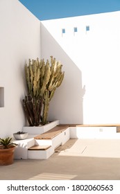 Architectural Detail Of Bench To Sit With Cactus In Corner Of Interior Patio In Mediterranean House In Desert By The Sea In Summer