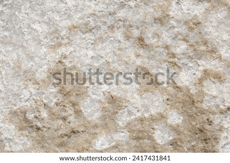 Architectural Elegance: Close-up Texture of Marbled Stone Used in Church Construction 