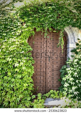 Similar – Image, Stock Photo Secret garden Calm