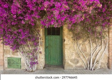 95,510 Old Doors Flowers Images, Stock Photos & Vectors | Shutterstock