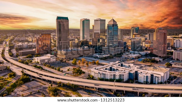 The architecture of the downtown area in the City\
of Tampa Florida