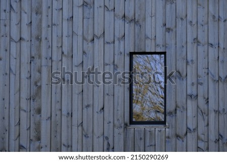 Foto Bild Sturm kommt auf Haus Baum