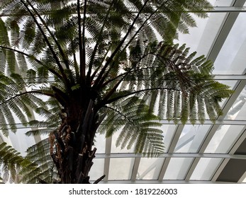 Architecture And Nature Merge At The Sky Garden In London, 2020