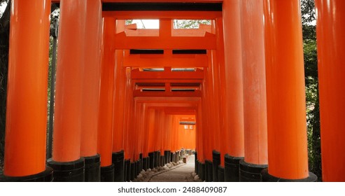 Architecture, torii gates and temple for religion, travel and traditional landmark for spirituality. Buddhism, Japanese culture and trip to Kyoto, zen and prayer or pathway by Fushimi Inari Shinto - Powered by Shutterstock