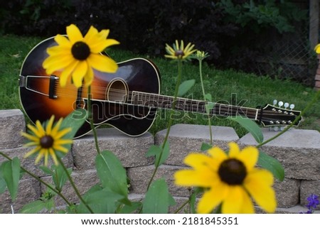 An archtop octave mandolin (bouzouki) displayed on a garden wall. Octave mandolins are similar to guitars. Yellow flowers in the foreground.