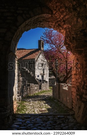 Archway under passage in the ruins of the old church and city walls in Stari Bar town near Bar city, Montenegro