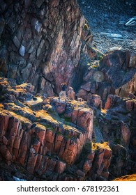 The Arctic