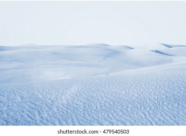 Arctic Desert. Winter Landscape With Snow Drifts.