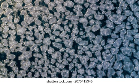 Arctic Ice In The Sea Of Japan. View From Above. The Ice Was Frozen On The Sea With Pancakes.