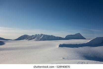 arctic immensity