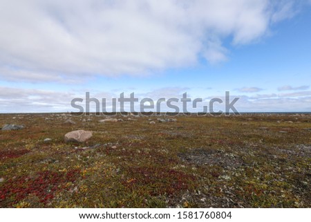Arctic landscape going into fall colours with blue skies and some clouds