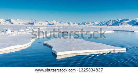 Arctic summer landscapes in Svalbard.