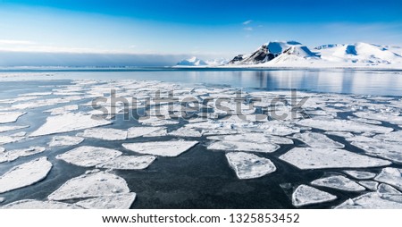 Arctic summer landscapes in Svalbard