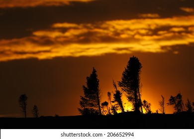 Arctic Sunset On The Taiga At Wapusk National Park, Canada.