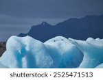 Arctic terns on icebergs of the Jokulsarlon Glacier Lagoon, Iceland.