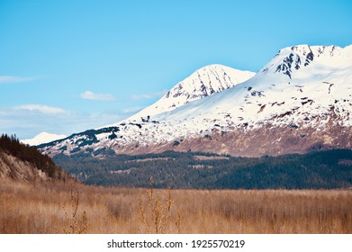 Arctic Tundra In Alaska USA