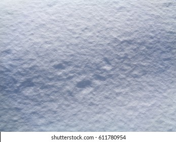 Arctic Tundra And Polar Desert Ice Crystals (snowflakes) Texture And Background. Coldest And Wildest Places On Earth