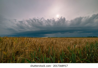 Arcus Cloud Of A Thunderstorm Over Wheat Fields