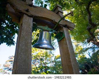 Arderne Gardens, Cape Town, South Africa - 01-05-2021

Close Up Of Silver Bell Standing In The Center Of The Arderne Gardens. Surrounded By Plant Life.