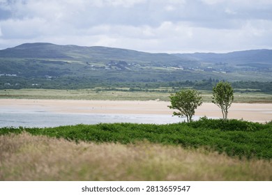 Ards Forest Park, Shell Beach, Binngorm Point, Country Donegal, Ireland. A gravel path meanders through a field of tall grasses leading towards distant hills under a partly cloudy sky with soft lighting and muted colors typical of late summer or early autumn on the Wild Atlantic Way.