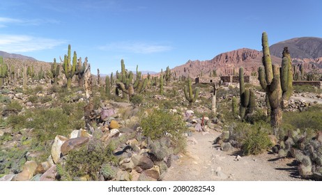 Area Around Pucará De Tilcara, Salta, Argentina