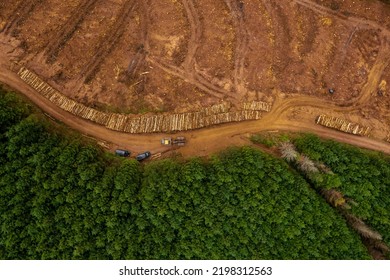 Area In A Green Forest With Freshly Cut Trees And Piles Of Logs By A Small Road. County Tipperary Ireland. Forestry Industry. Supply Of Material And Fuel. Ecology Problem. Aerial View.