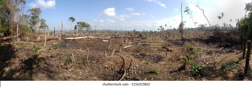 Area of illegal deforestation of vegetation native to the Brazilian Amazon forest