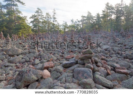 Area in the pine forest covered with many mysterious piles of stones in the village Geta on the island Aaland, part of Finland in northern Europe