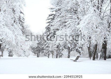 Area, tree, garden, alone, snow