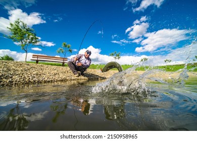 Area trout fishing. Fish jump splash. Fisherman cath fish on lake by spinning rod