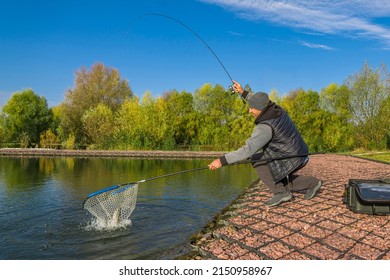 Area trout fishing. Fish jump splash. Fisherman cath fish on lake by spinning rod and take it by landing net
