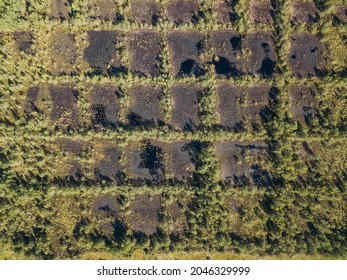 Areal View Of Bog Where Peat Was Once Extracted. Panes That Look Like Checkers Or A Chess Board.