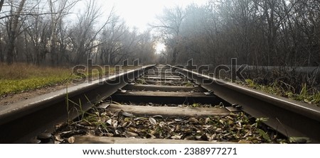 areal view of old railroad in autumn forest
