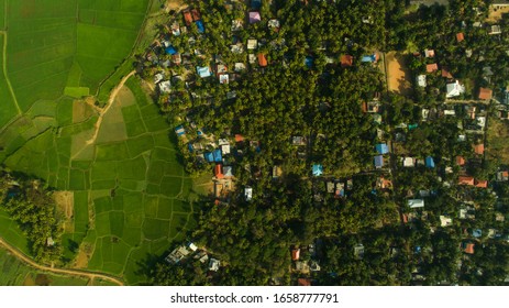 Areal View Of A  Paddy Field From Kerala 