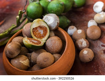 Areca Nut