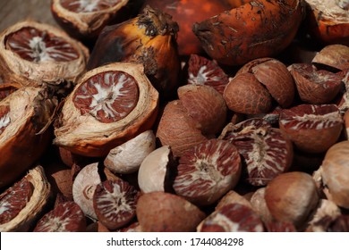 Betel And Areca Immagini Foto Stock E Grafica Vettoriale Shutterstock