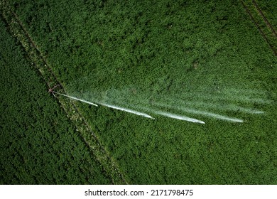 Areial View Of A Large Scale Water Sprayer Or Sprinkler In A Potato Crop Field During Dry Weather Conditions Being Used To Irrigate Crops With Copy Space