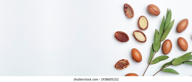 Argan seeds isolated on a white banner background. Argan oil nuts with plant. Cosmetics and natural oils background.