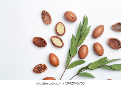 Argan Seeds Isolated On A White Background. Argan Oil Nuts With Plant. Cosmetics And Natural Oils Background.