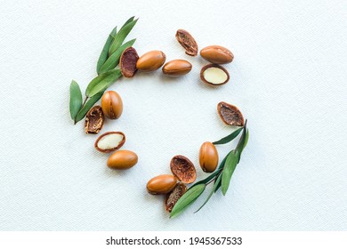 Argan seeds isolated on a white background. Argan oil nuts with plant. Cosmetics and natural oils background