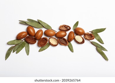 Argan Seeds Isolated On A White Background. Argan Oil Nuts With Plant. Cosmetics And Natural Oils Background 