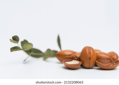 Argan Seeds Isolated On A White Background. Argan Oil Nuts With Plant. Cosmetics And Natural Oils Background.