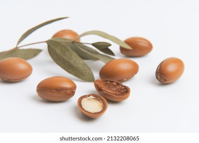 Argan Seeds Isolated On A White Background. Argan Oil Nuts With Plant. Cosmetics And Natural Oils Background.