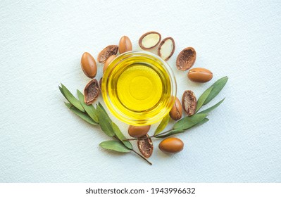 Argan Seeds And Oil Isolated On A White Background. Argan Oil Nuts With Plant. Cosmetics And Natural Oils Background