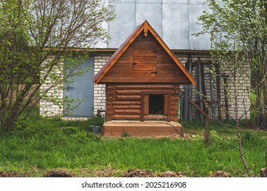 Arge Wooden Beautiful Doghouse In The Backyard