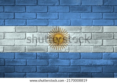 Argentina flag painted on a brick wall.