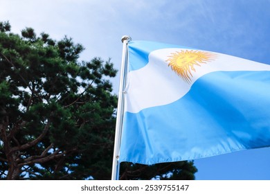 Bandera nacional argentina frente